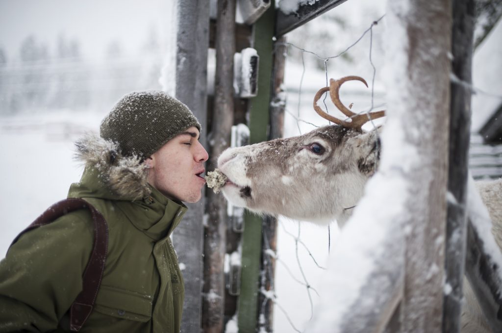 Reindeer Farm Visit Tour - Reindeer Farm Porohaka | Rovaniemi
