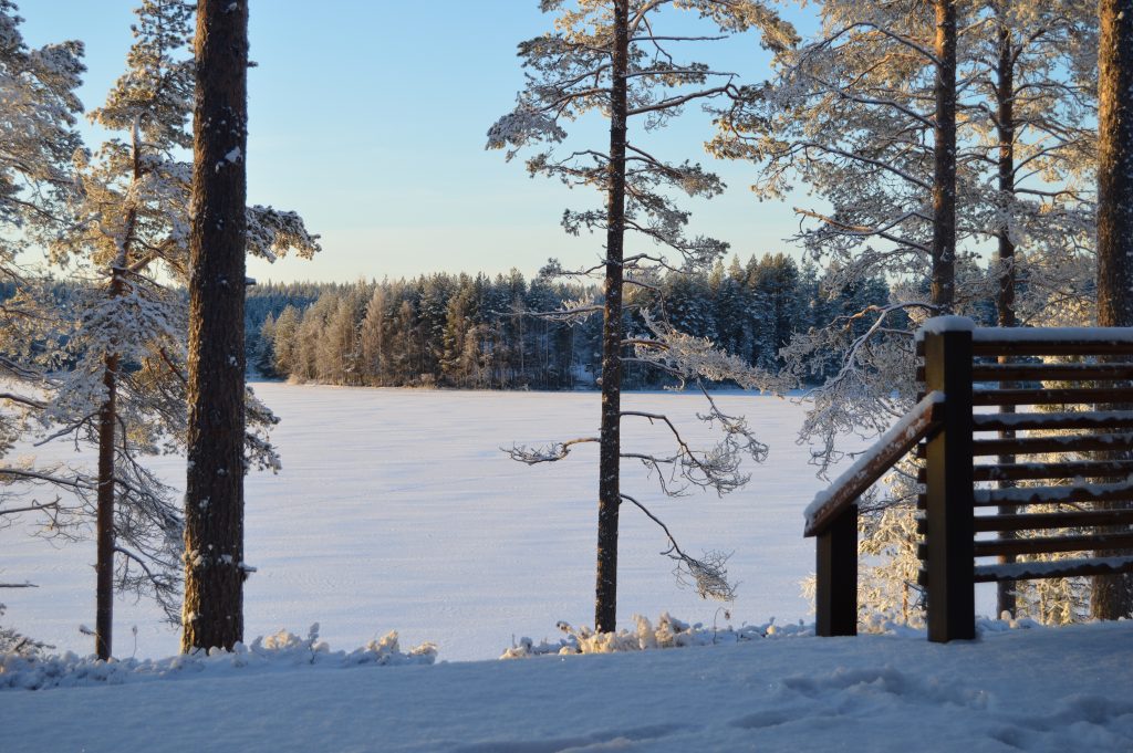 Villa Vasa - luxury villa next to Reindeer Farm Rovaniemi