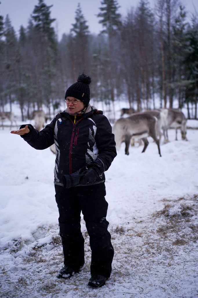 Reindeer herder Mrs Katja Alajärvi telling stories about reindeer herding at Reindeer Farm Porohaka in Rovaniemi