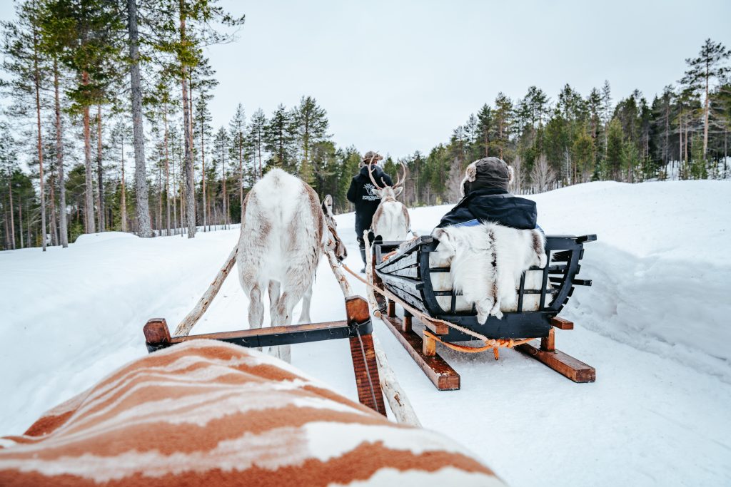 Reindeer sleigh ride in Rovaniemi - Reindeer Farm Porohaka
